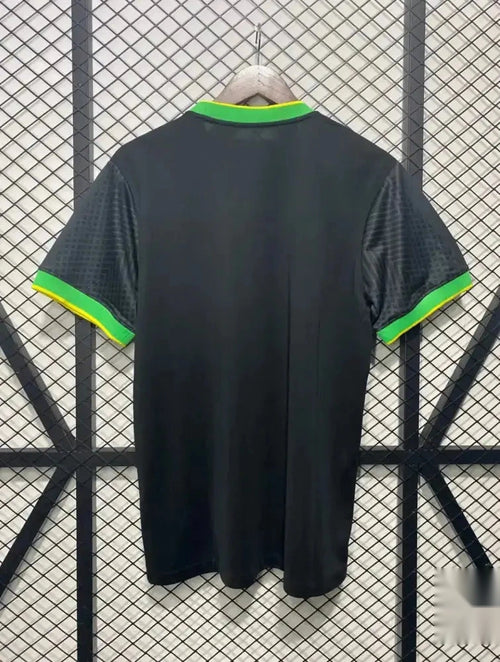 Brésil 2024 Concept
