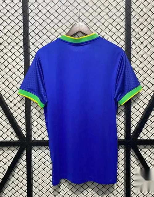 Brésil 2024 Concept