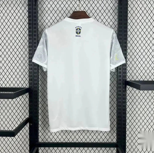 Brésil 2025 Concept