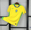 Brésil 2025 Domicile