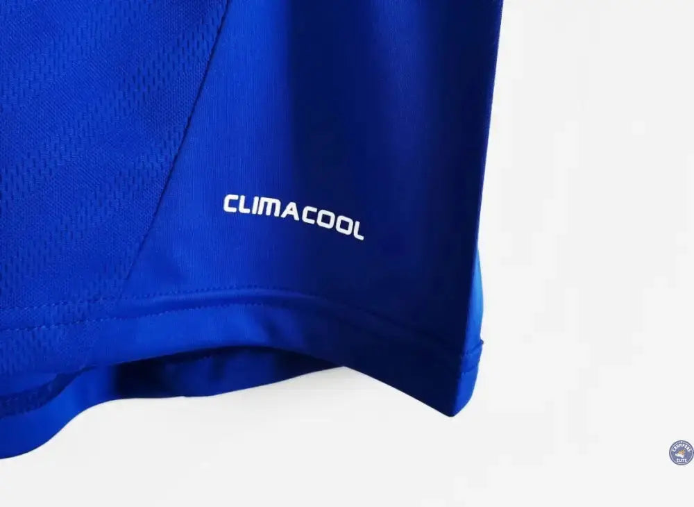 Chelsea 2012/13 Domicile