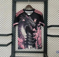 Japon 2024 Concept