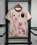 Japon 2024 Concept