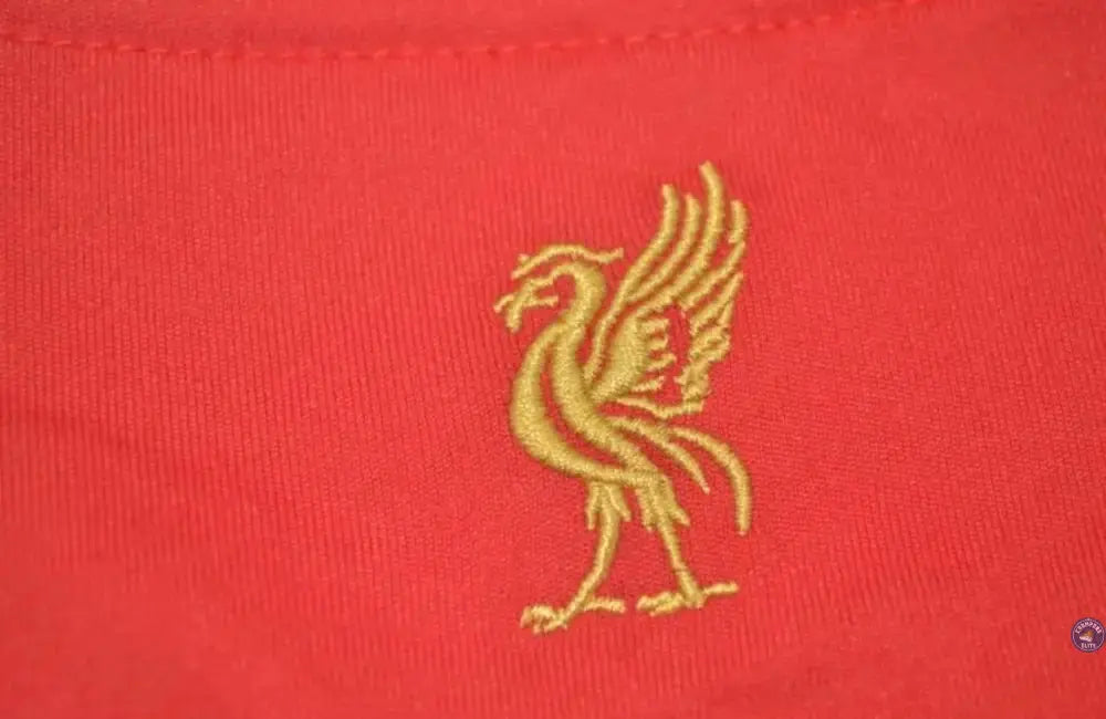 Liverpool 2008/09 Domicile