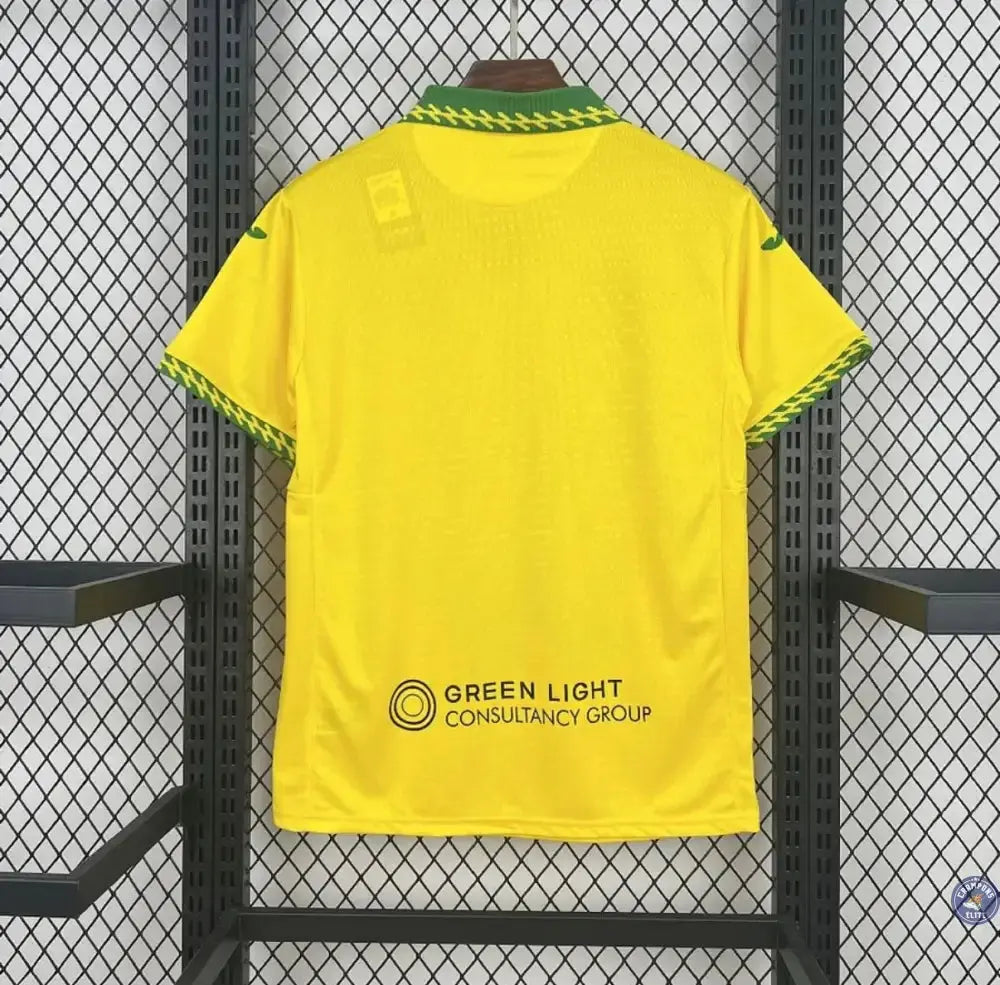 Norwich City 2025/26 Domicile