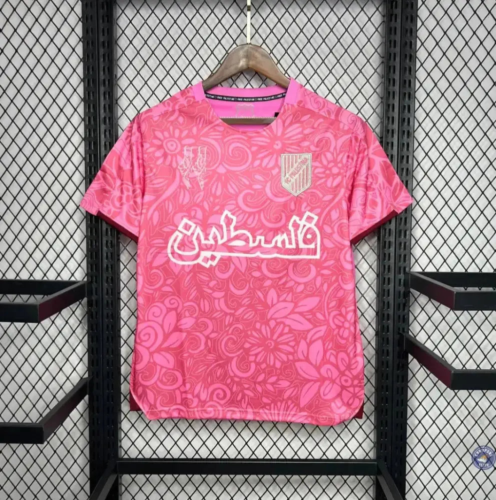 Palestine 2024 Concept